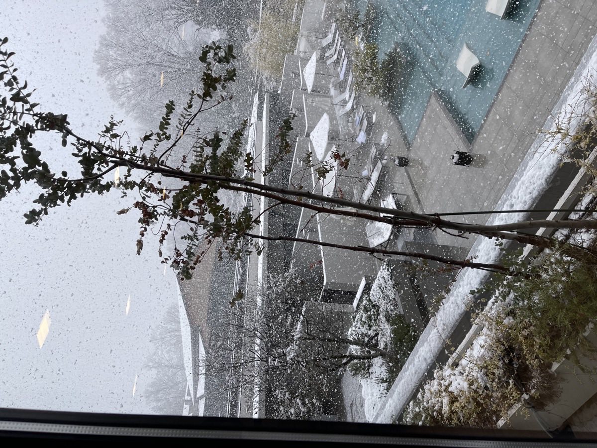雪が降り注ぐプールサイド